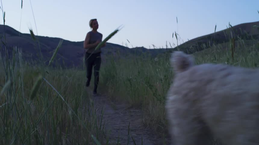 A woman and her dogs run through a field