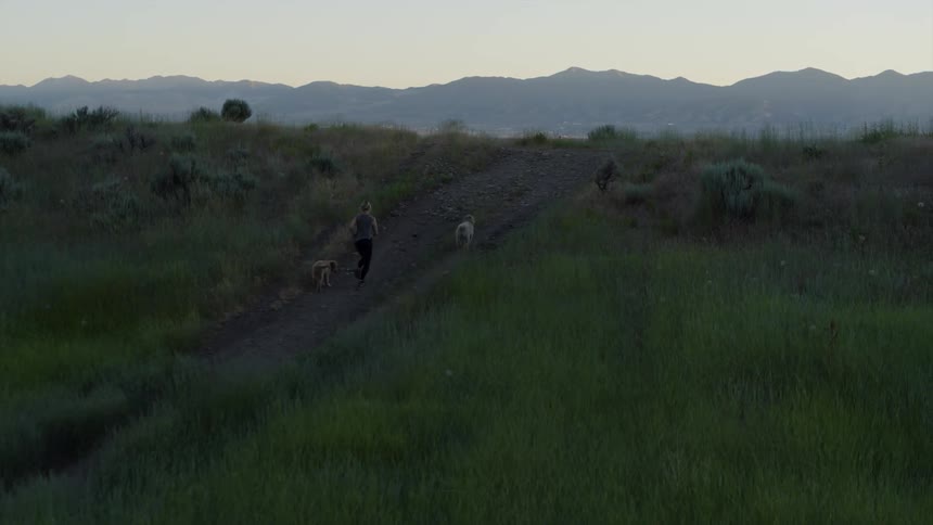 Woman and dogs run along a country path