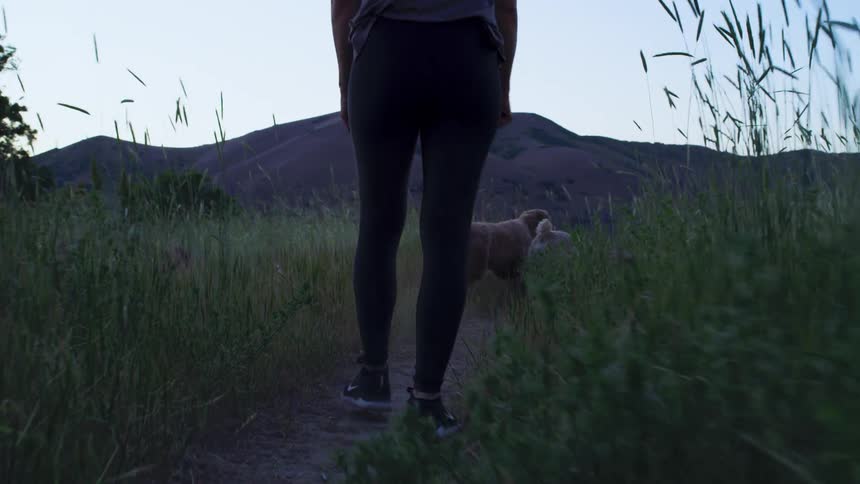 A woman is walking with her dogs on a trail at dusk