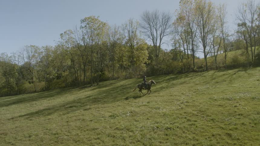 A woman rides a horse over a hill