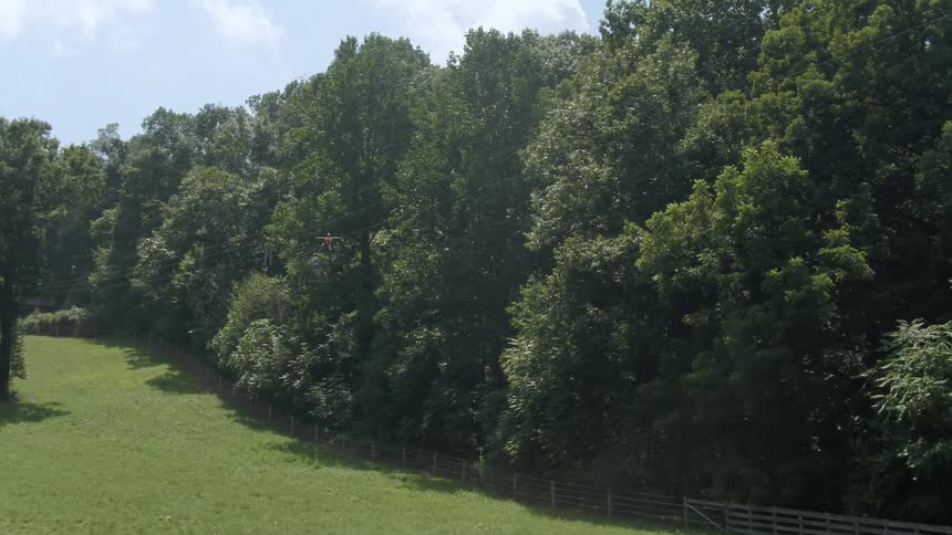 People are gliding down a zip line past a stand of trees on a sunny day