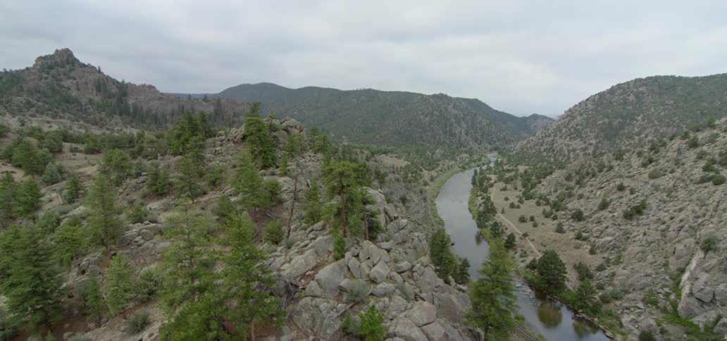 Trees are all over these mountains by the stream