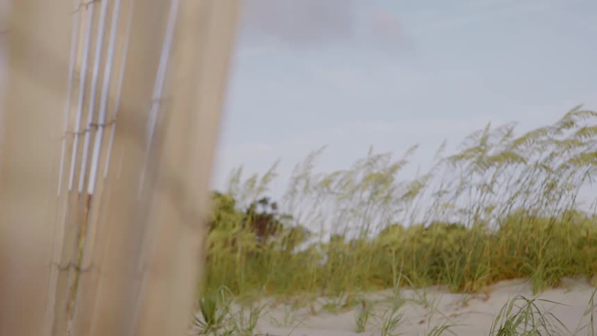 A wood fence leans on the beach