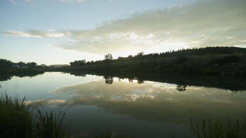 Clouds and trees reflected in a body of water on a sunny day