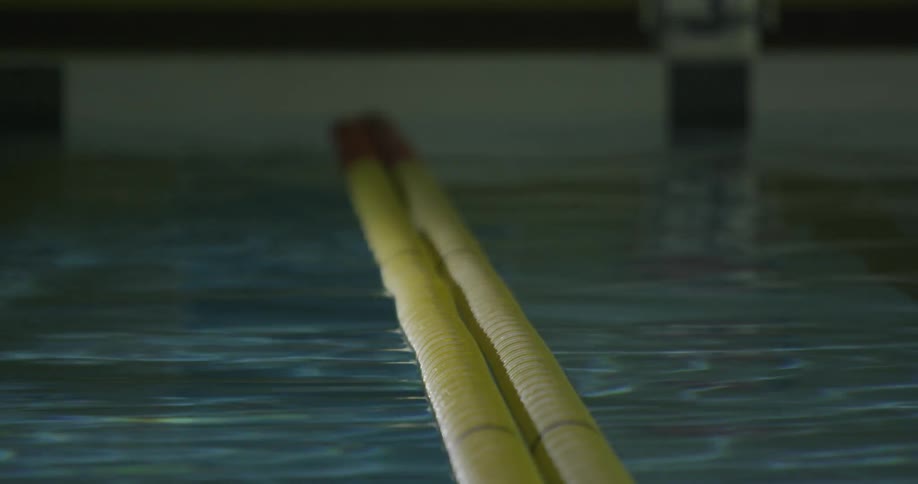 Two hoses on top of water