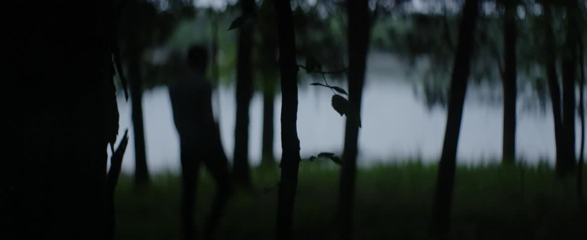 A man walks through the woods towards water