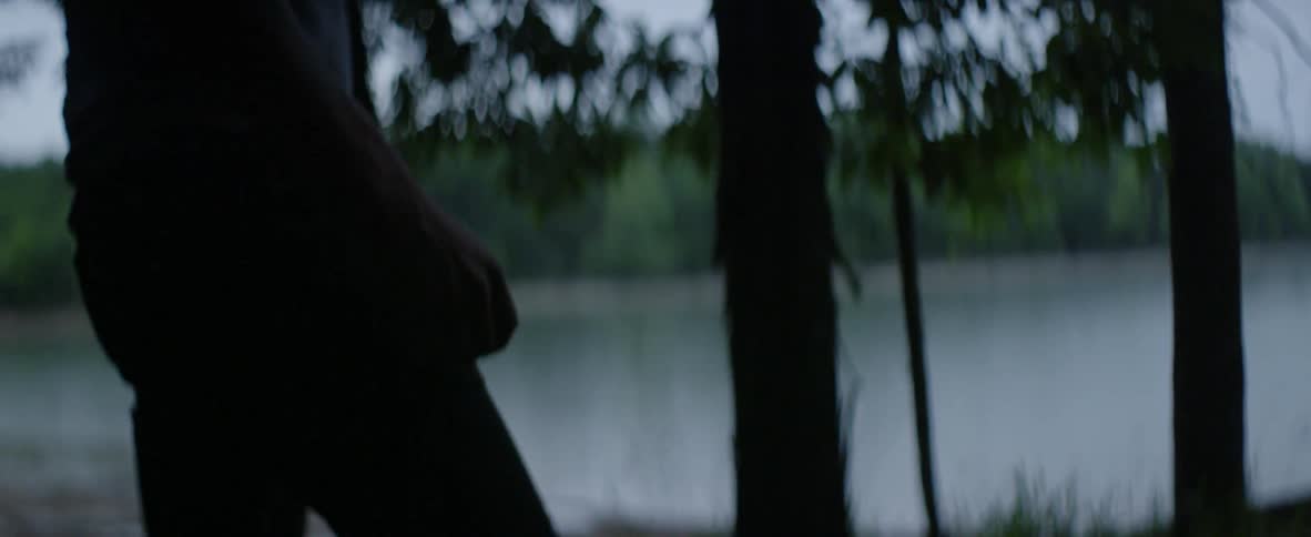 A man is walking through the dark woods by the lake