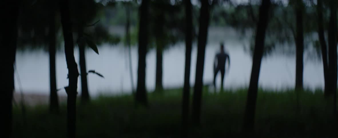 A man is walking from the lake in the blurred distance