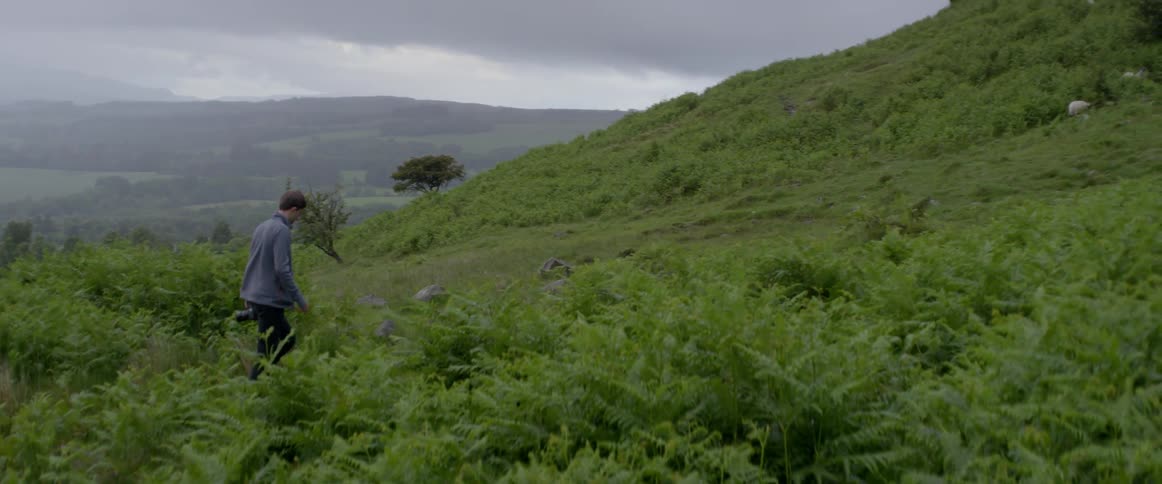 A man is walking through a green pasture with tall grass