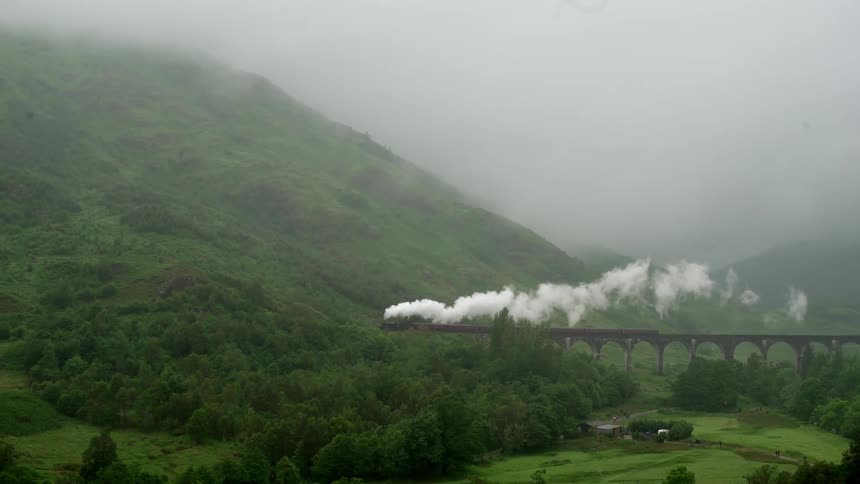 A steam train travels over a bridge