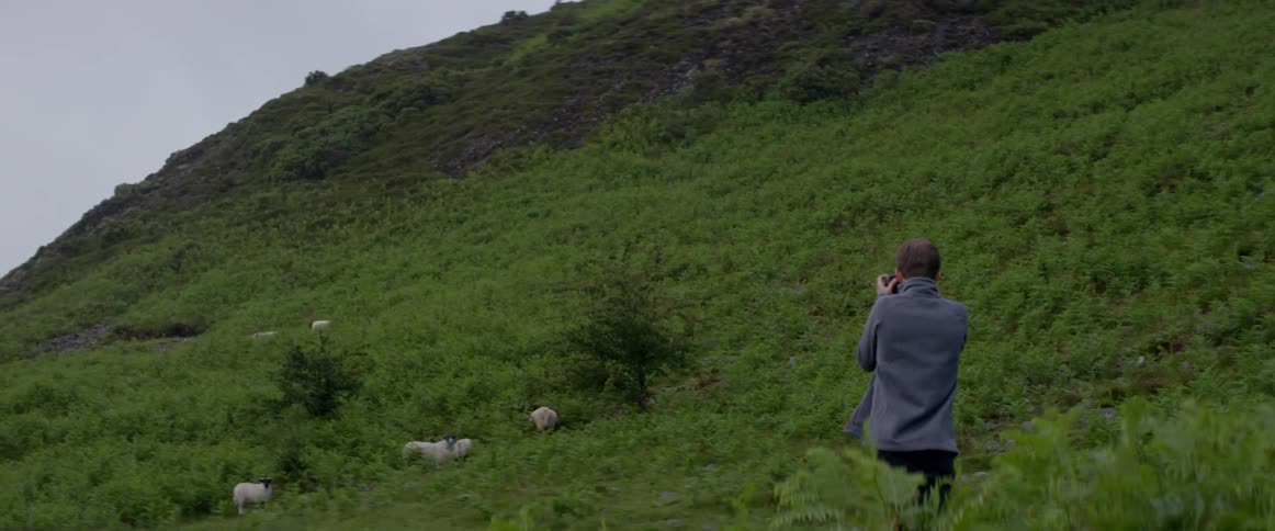 A man photographs sheep grazing on a hillside
