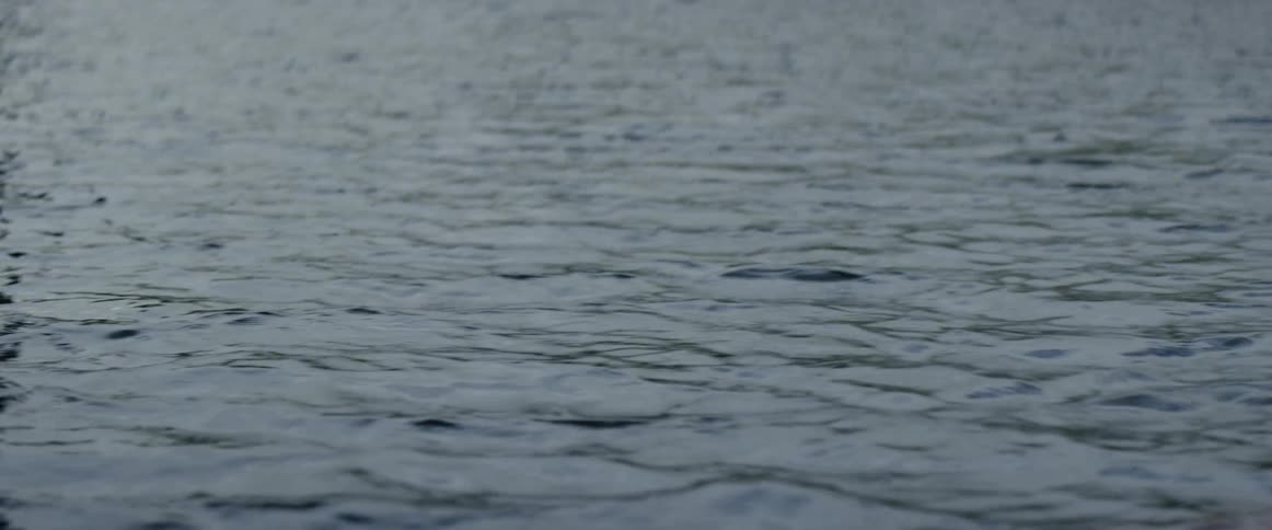 Small waves in a large body of water
