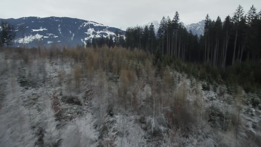 Frost covers forest trees in the mountains