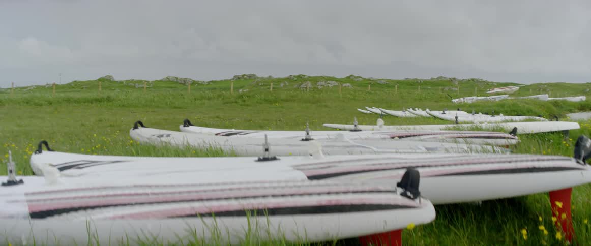 Surfboards are strewn all over the grass
