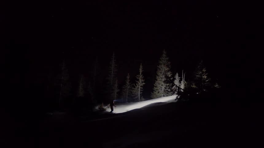 Person with a flashlight walks in the woods at night