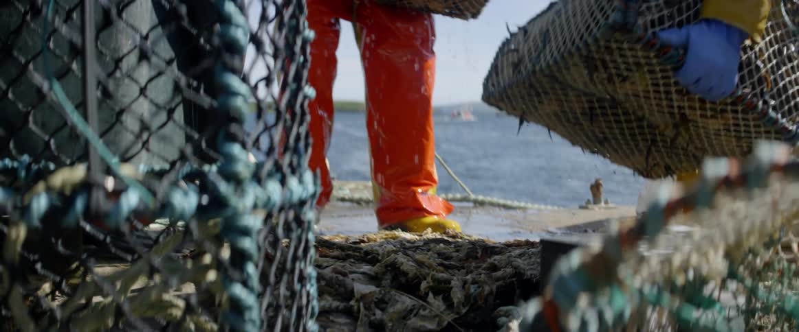 Crab fishermen stack filled cages