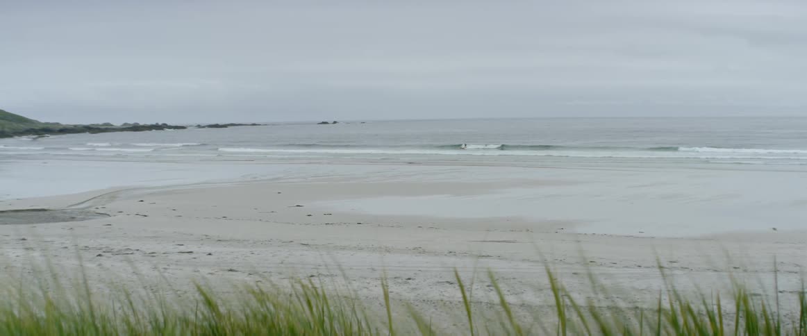 A surfer rides a wave near the shore