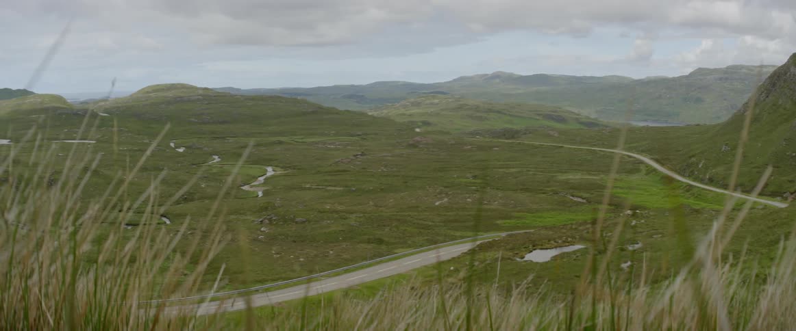 Grass bristles in the wind on the hills