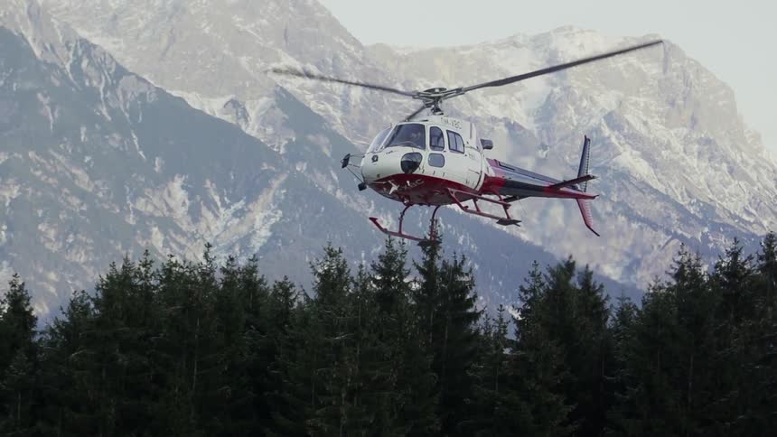 A helicopter is coming in for a landing over pine trees in a snowy setting