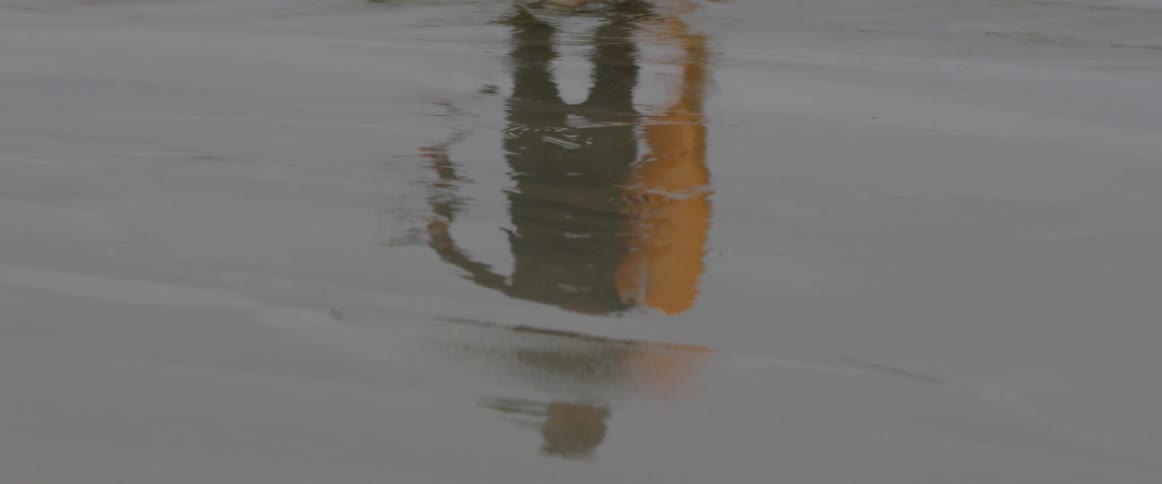 The reflection of a person is seen in the water