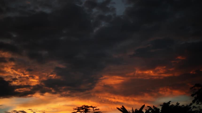 Cloudy sky at sunset over trees