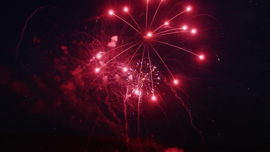 Fireworks exploding in the night sky