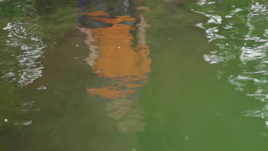 A lake is reflecting a man's form as he stands near it during the day