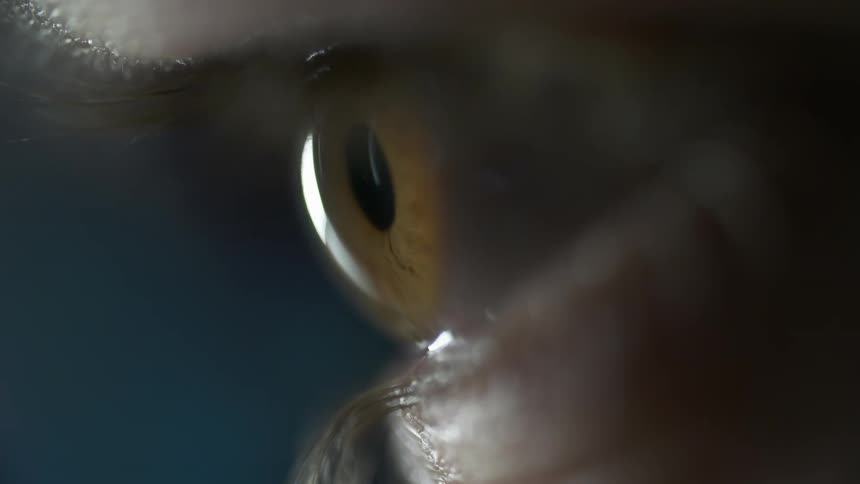 Brown eyeball looks to the left