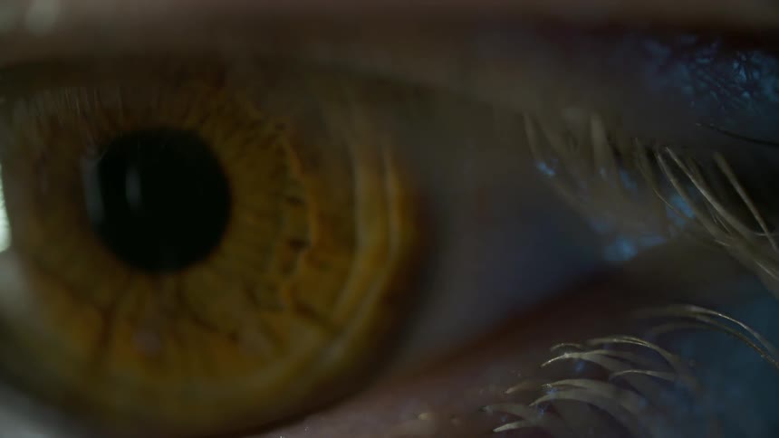 An eye's pupil widens and contracts as a light shines