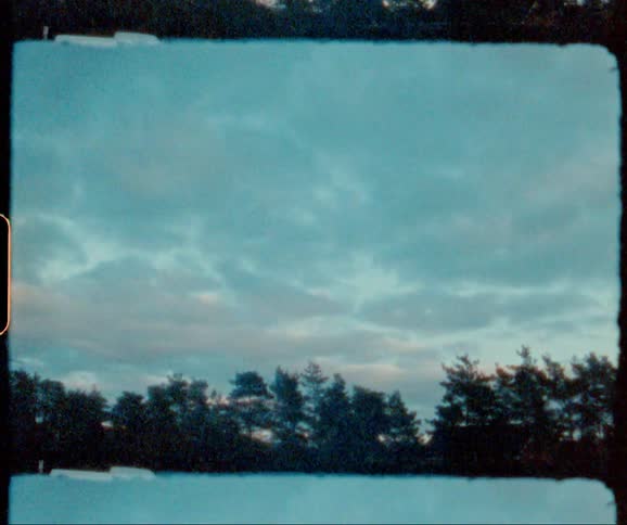 Clouds hang above the tall forest trees