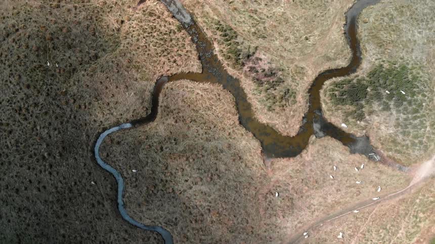 A river curves through a landscape