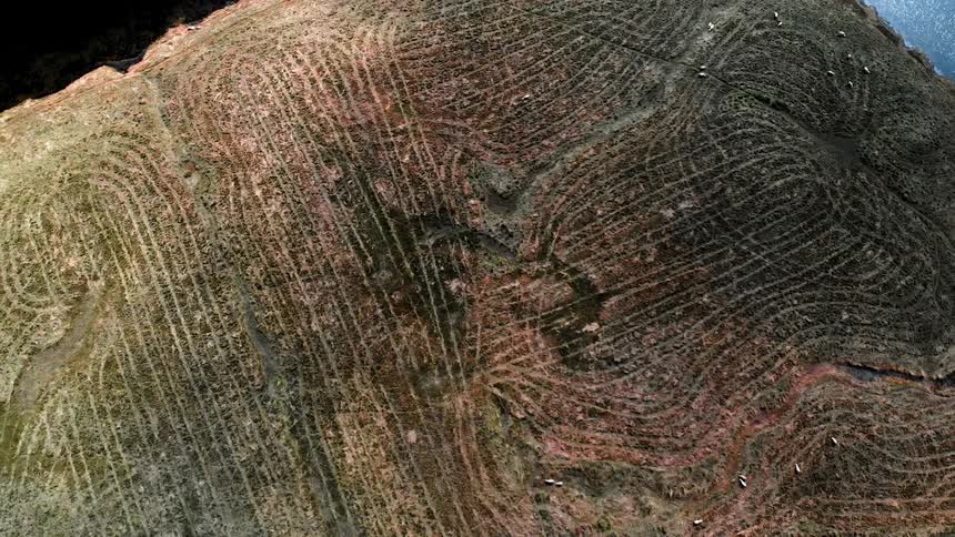 A overhead view of lines in the ground