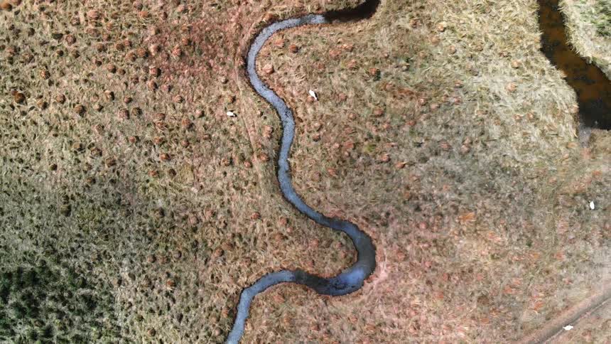 River runs through dry cracked land