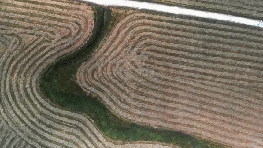 The fields below have a green road going to the stream