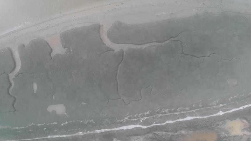 An overhead view of ground that was burnt