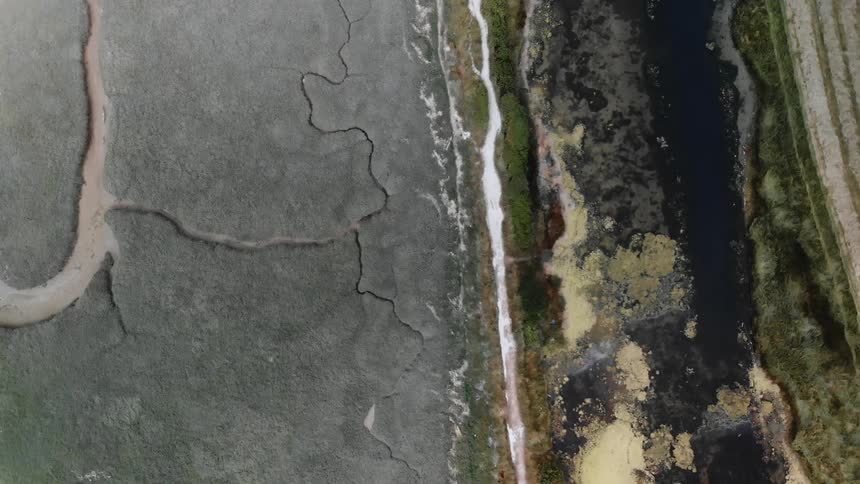 Burnt ground next to a small stream and road