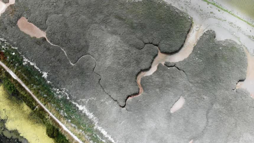 Brown water flows through dry cracked land
