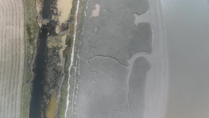 Fog is drifting over an estuary during the day