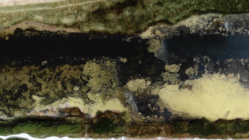 Overhead view of a river