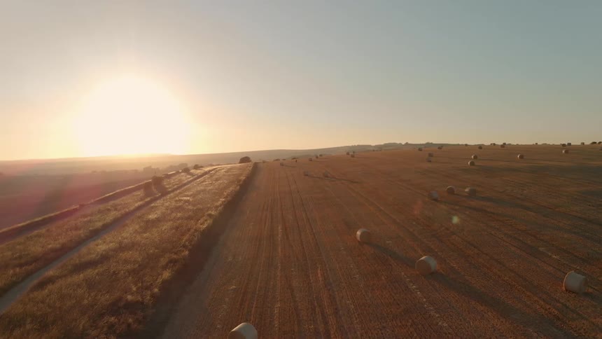 A field of hay bales