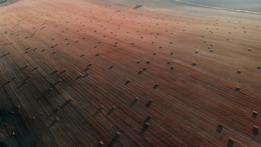 Bales of hay dot the landscape in a farm field at dusk