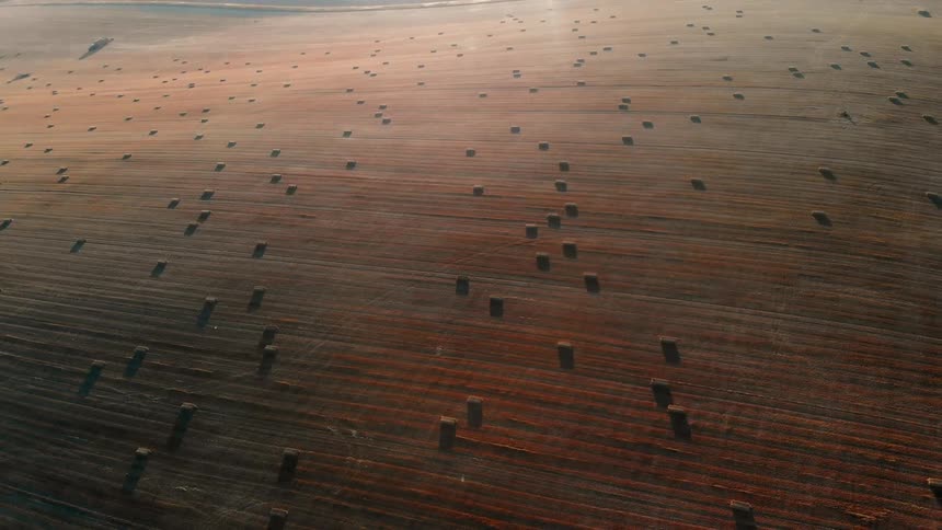 Hay bales scattered over brown land