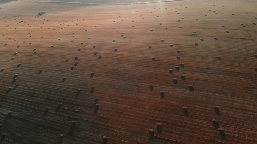 Hay bales scattered over brown land
