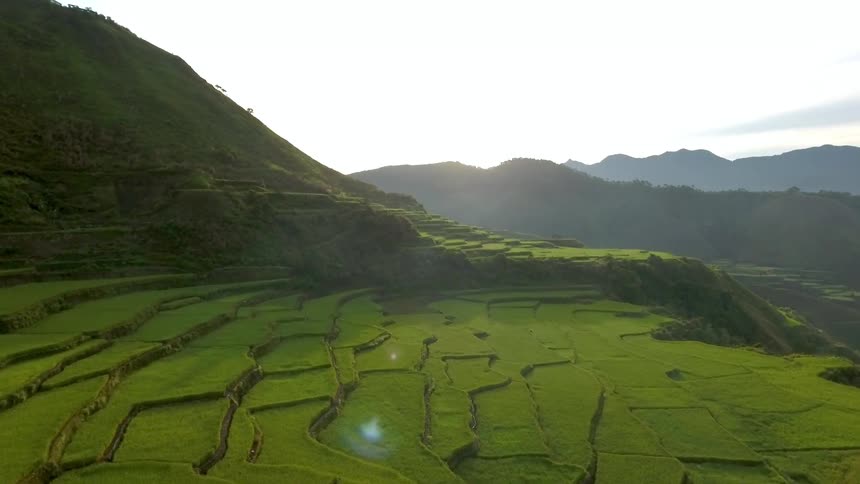 Crops grow in terraces on a mountainside during the day