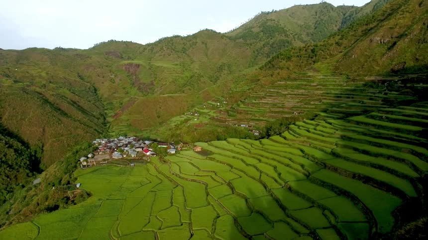 A green hillside next to a village