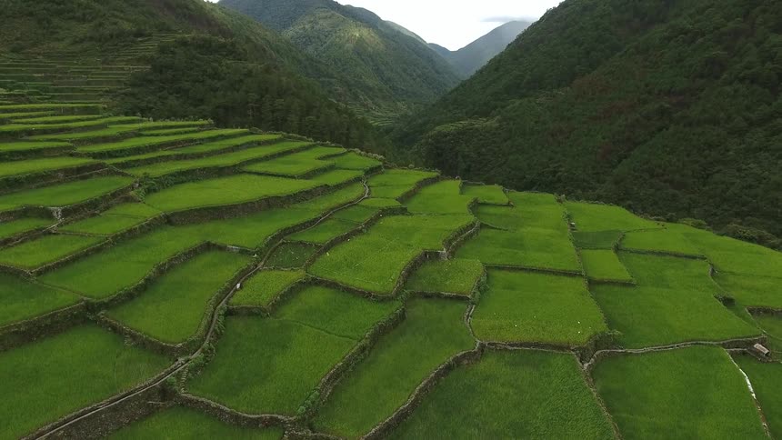 Lush green hills on next to a small village