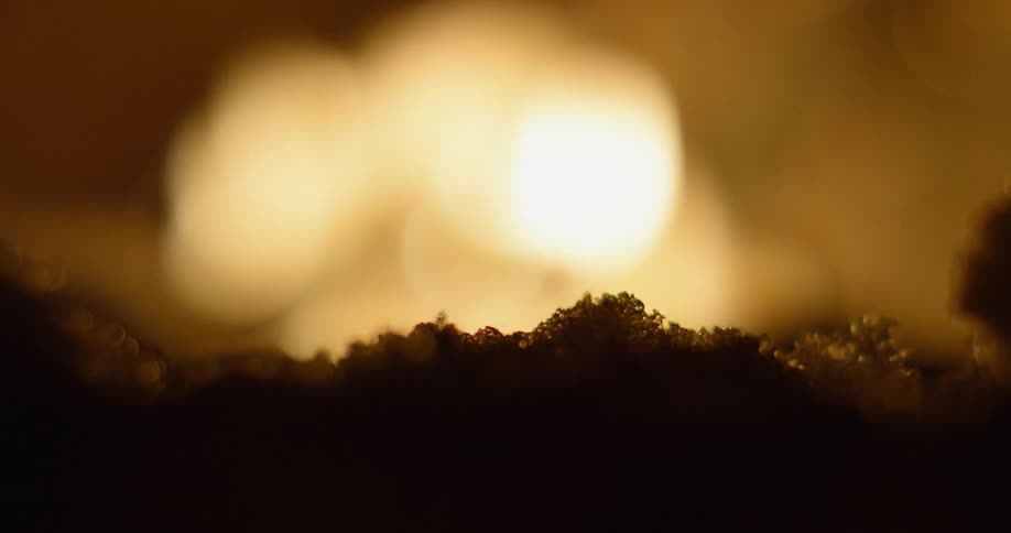 A campfire burns in a pile of snow at night