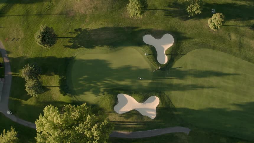 Tall trees cast shadows on a golf course