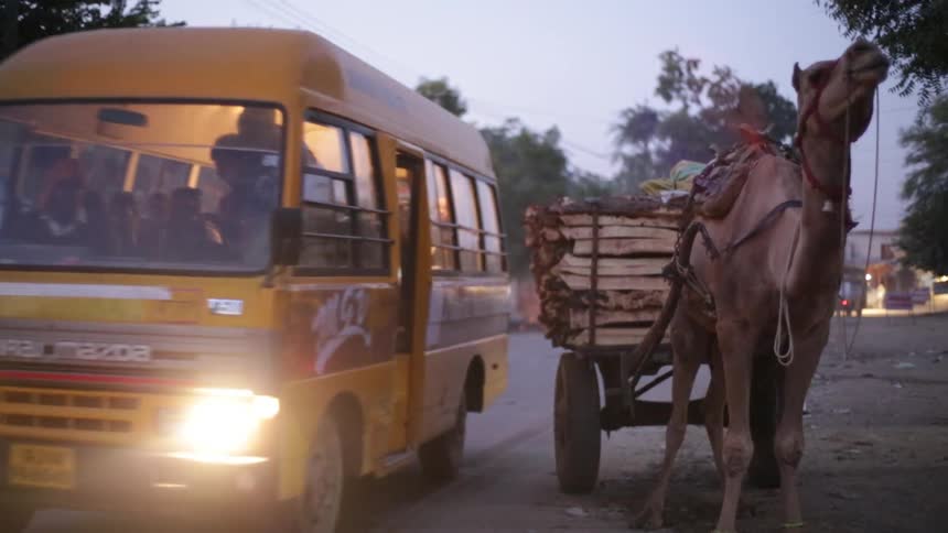 Van drives down a road past a camel attached to a cart