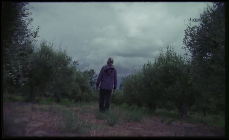 Man standing in field with trees looking at the sky